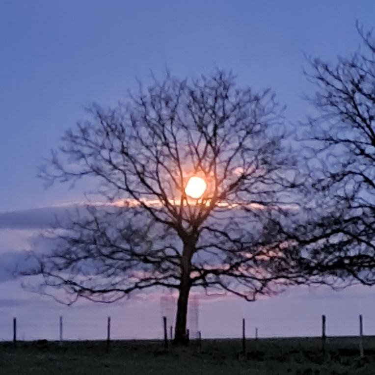 Mywort De Mond Ass Opgangen