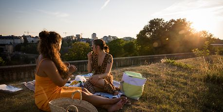 Die schönsten Picknickplätze im Land - Vimarsana News