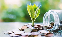 Plant growing from coins outside the glass jar on blurred green natural background for business and financial growth concept