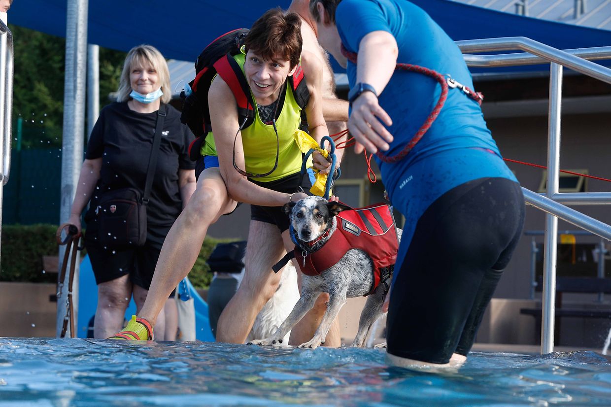Lokales, Aqua Park, Schwimmbad, Hundeschwimmen, Badespass Foto: Luxemburger Wort/Anouk Antony