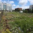 Grünflächen, wie hier die Gemeinschaftsgärten im Viertel Grünewald, werden von den Bewohnern sämtlicher Stadtteile geschätzt oder gewünscht.