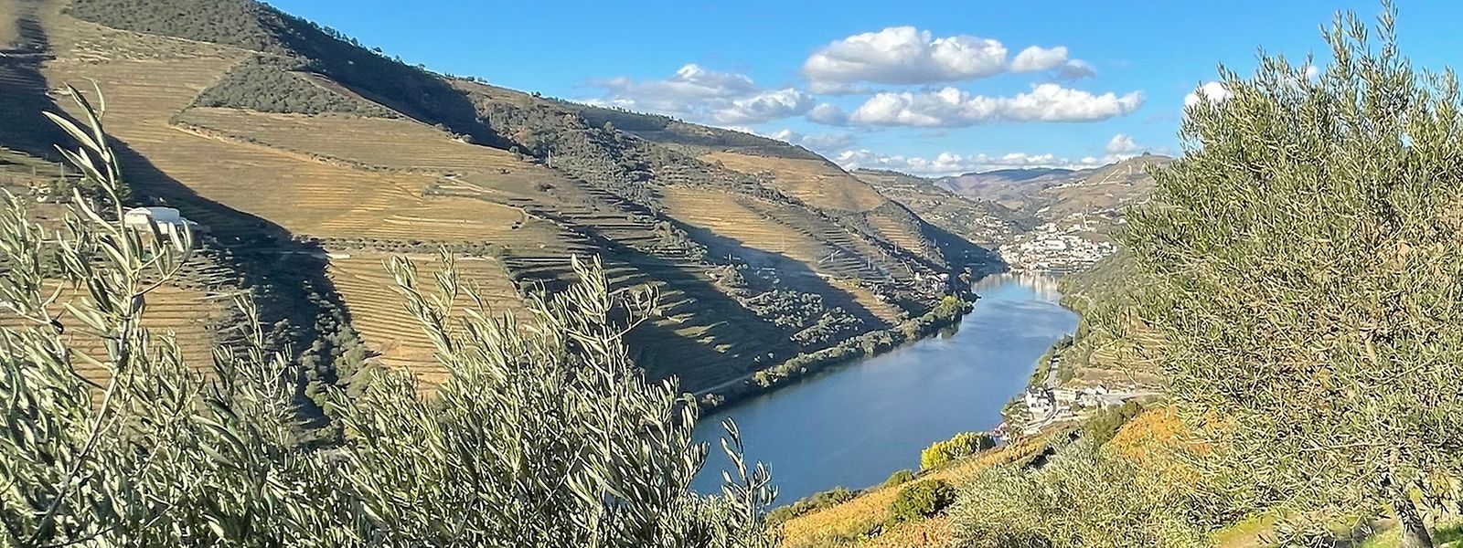 Land der starken Kontraste: Der bedächtig fließende Douro führt mit seinen vielen Windungen an Weinbergen, aber auch schroffen Felshängen vorbei.