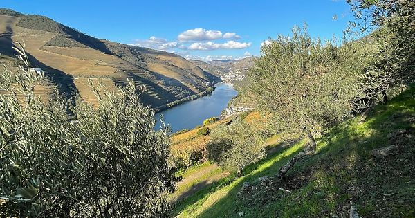 Abwechslung-und-Genuss-pur-auf-dem-Douro