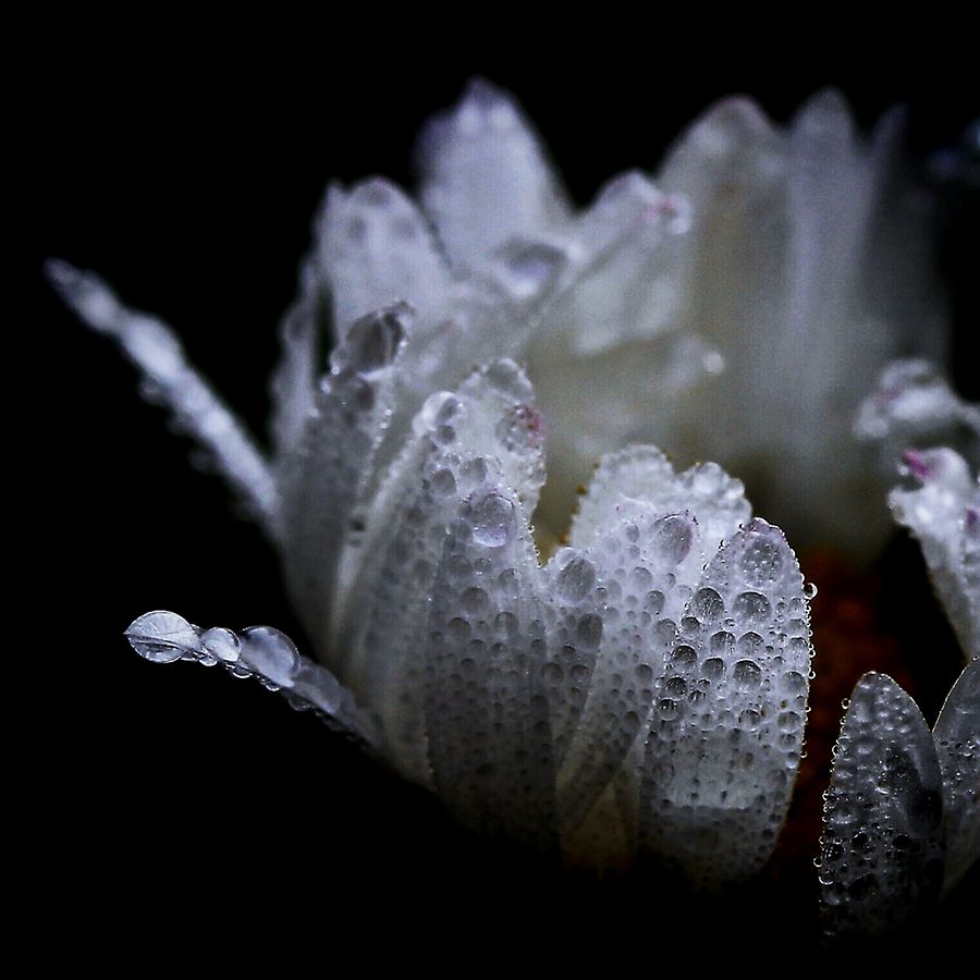 Processed With Darkroom