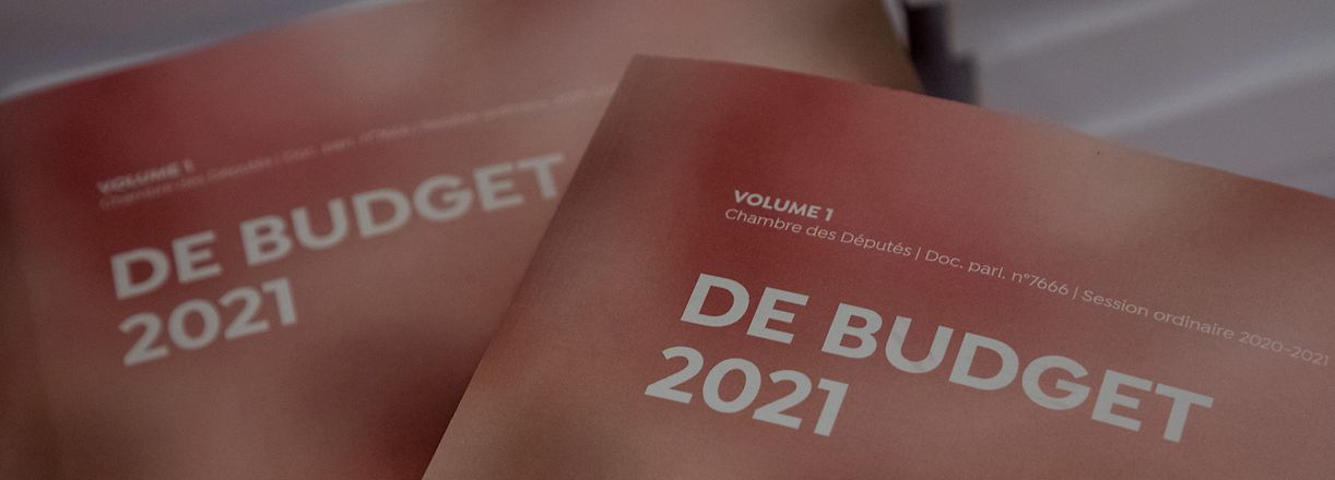 IPO , Chamber , Pierre Gramegna depose Budget 2021 , Staatsbudget , depot Budget , Foto:Guy Jallay/Luxemburger Wort
