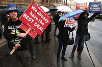 Diese Demonstranten vor dem britischen Unterhaus sind gegen den Brexit. Aber wer noch? Eine Übersicht. 