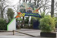 Les accusations portées contre le zoo sont lourdes, à en croire nos confrères de France Bleu.