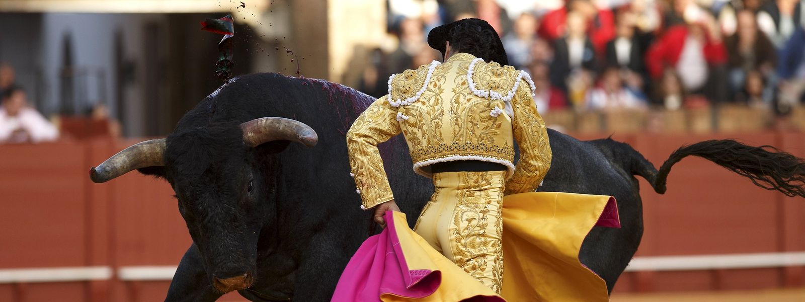 Im Süden Frankreichs haben Stierkämpfe eine lange Tradition und weiterhin viele Anhänger - im Parlament in Paris wird nun ein Vorstoß unternommen, das blutige Brauchtum zu verbieten.