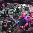 TOPSHOTS
This August 10, 2015 image from NASA TV shows L-R: Japan Aerospace Exploration Agency (JAXA) astronaut Kimiya Yui, with NASA astronauts Kjell Lindgren and Scott Kelly as they eat red romaine lettuce grown on board the International Space Station. Astronauts living at the International Space Station are about to take their first bites of space-grown lettuce, in what scientists described as another step toward enabling human missions to Mars. The red romaine lettuce was grown in a special plant-growing box called Veg-01, and was flown to space aboard the SpaceX Dragon cargo ship. The seeds are contained in rooting pillows, and were "activated" by Kelly on July 8, NASA said. The plants grew for 33 days before being harvested.   AFP PHOTO / HANDOUT / NASA TV                     == RESTRICTED TO EDITORIAL USE / MANDATORY CREDIT: "AFP PHOTO / HANDOUT / NASA TV"/ NO MARKETING / NO ADVERTISING CAMPAIGNS / DISTRIBUTED AS A SERVICE TO CLIENTS ==