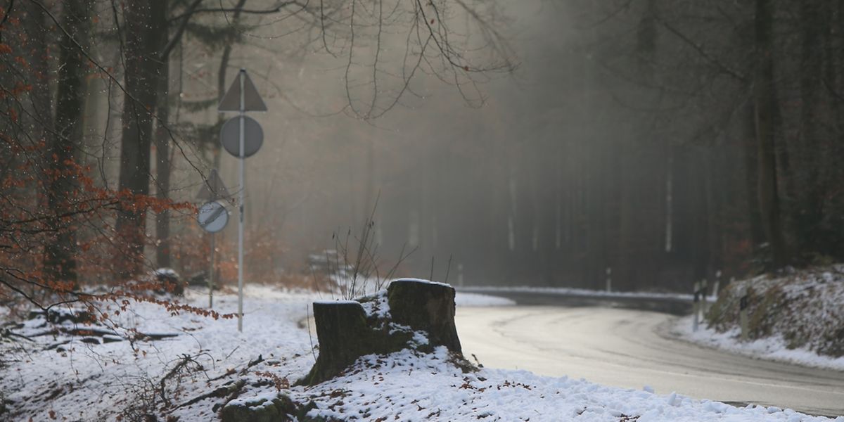 Im Dezember wurden zwölf Schneetage gezählt.