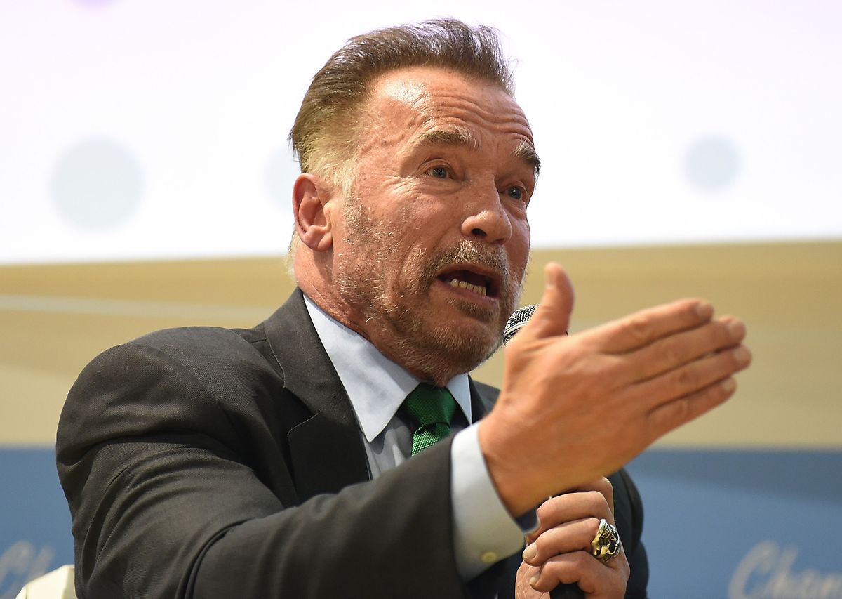 Arnold Schwarzenegger gehörte zu den Rednern in Kattowitz.