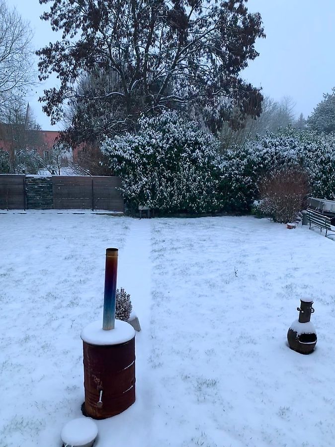 Bild eines Winter-Gartens.