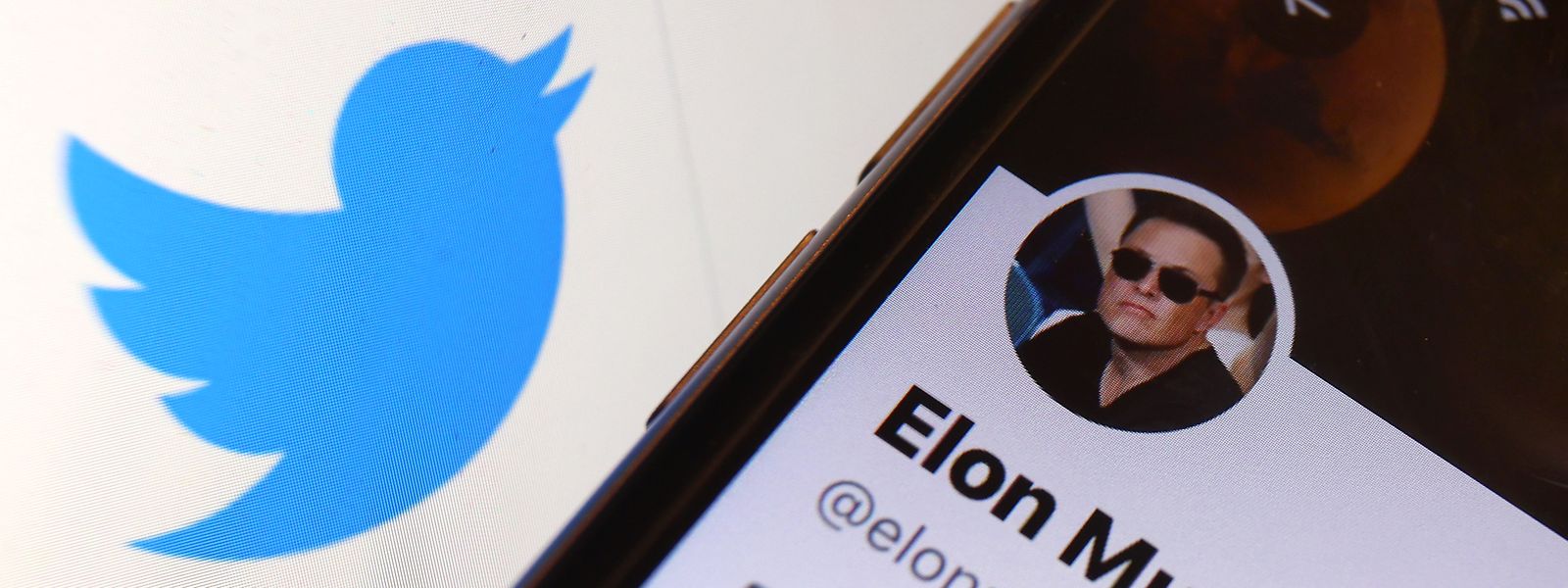 Elon Musk quittierte Erklärungen des Twitter-Chefs mit einem Kothaufen-Emoji.