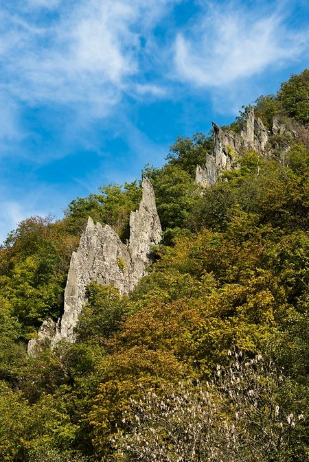 Auf dem  "Escapardenne Lee Trail" stechen insbesondere die steilen Felsformen hervor.