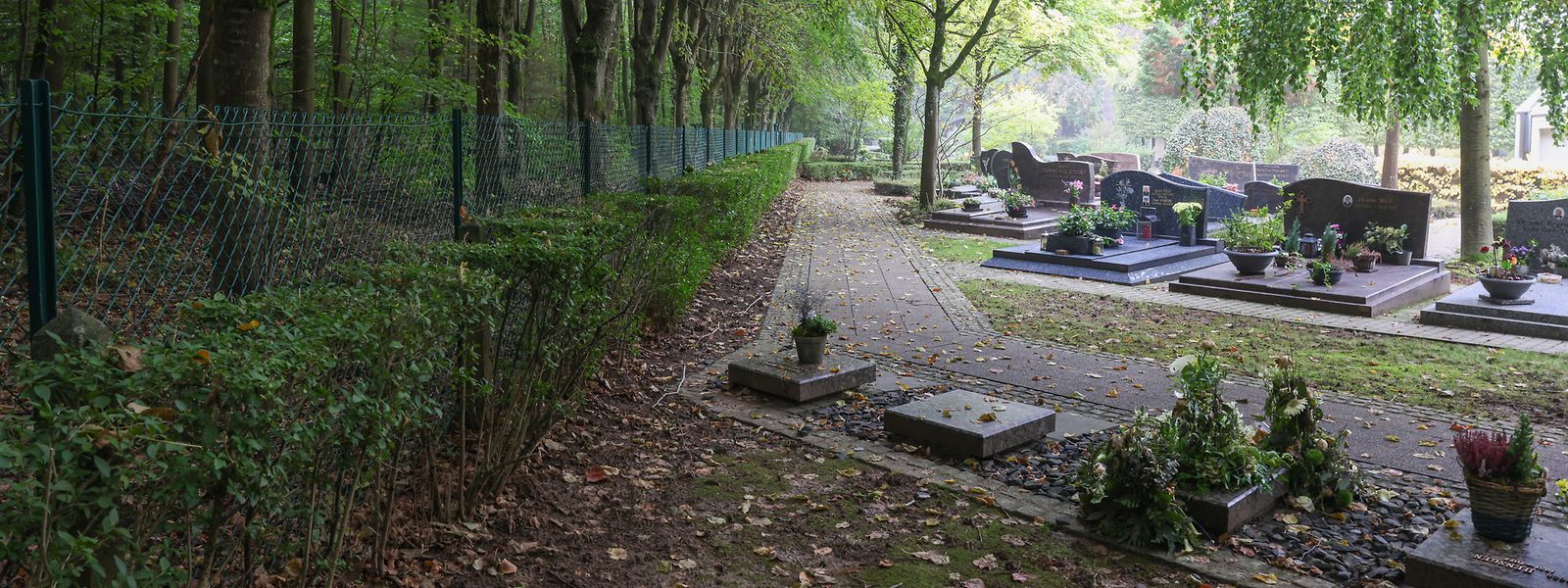 Der Waldfriedhof kommt in die Nähe des "normalen" Friedhofs in Howald.