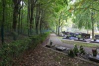 06.10.2022 Planung eines Waldfriedhofs Bëschkierfecht Howald, Wald Friedhof,  , Foto: Marc Wilwert / Luxemburger Wort