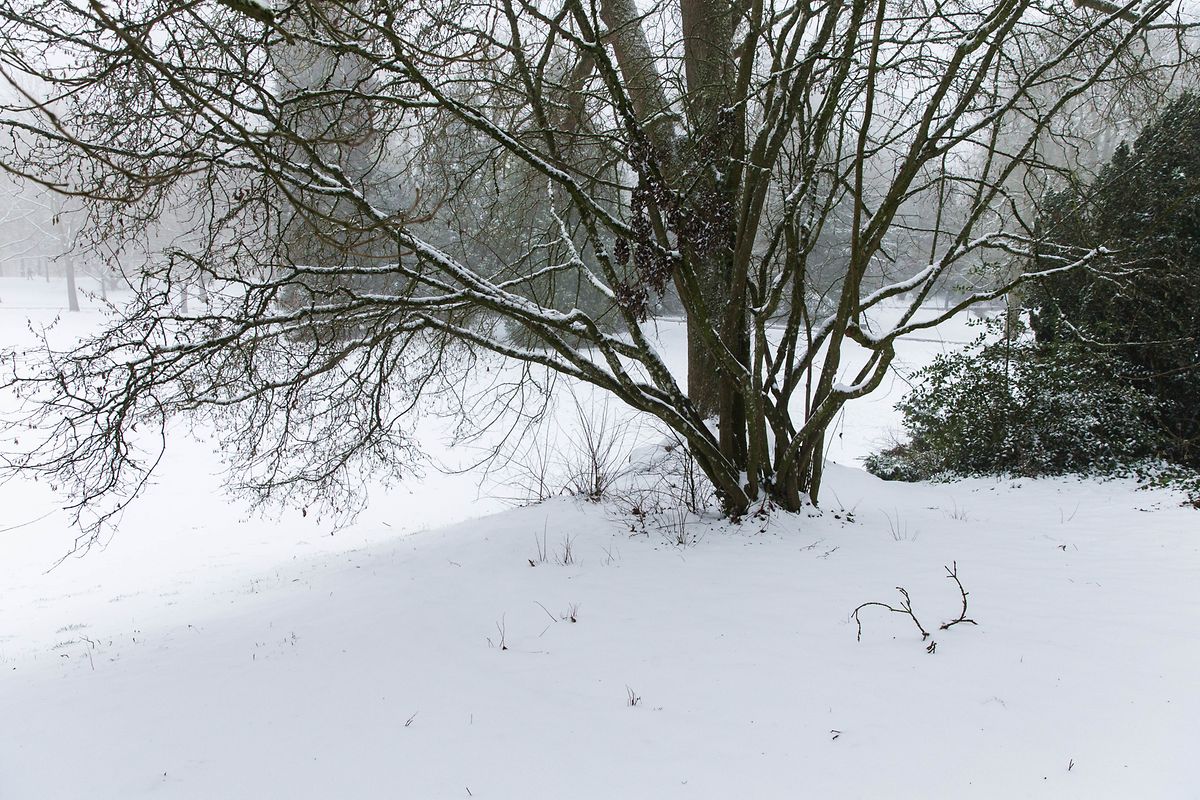 Wintereinbruch in der Hauptstadt. 