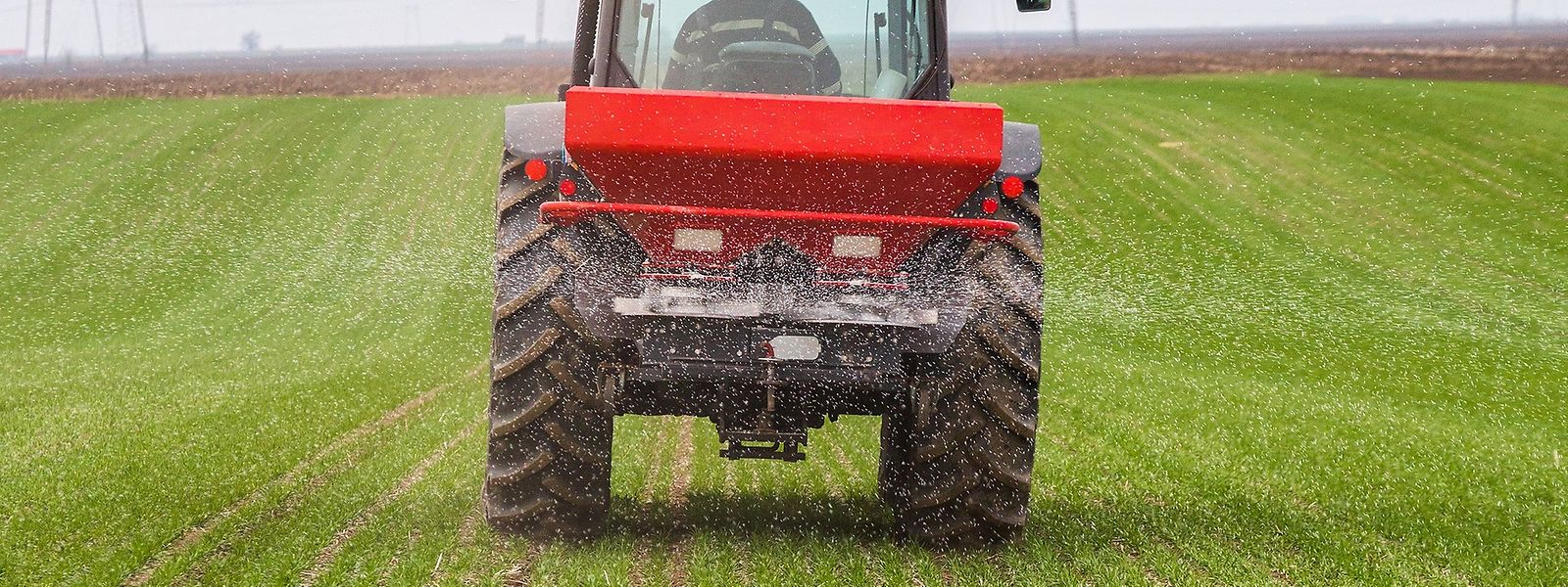 Für die Umweltorganisation Natur&Ëmwelt muss beim Pestizideinsatz in der Landwirtschaft unbedingt ein Umdenken erfolgen. 