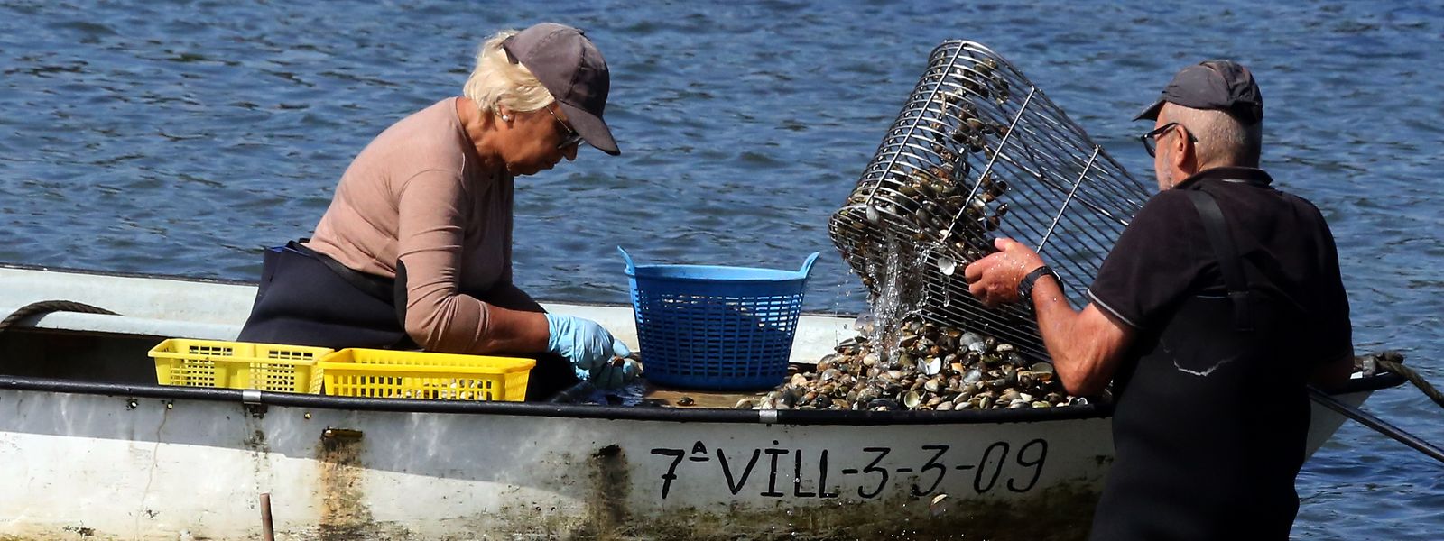 In Galizien sind die Muscheln nicht nur ein Wegweiser. An der Küste leben auch viele Menschen vom Anbau der Schalentiere. 