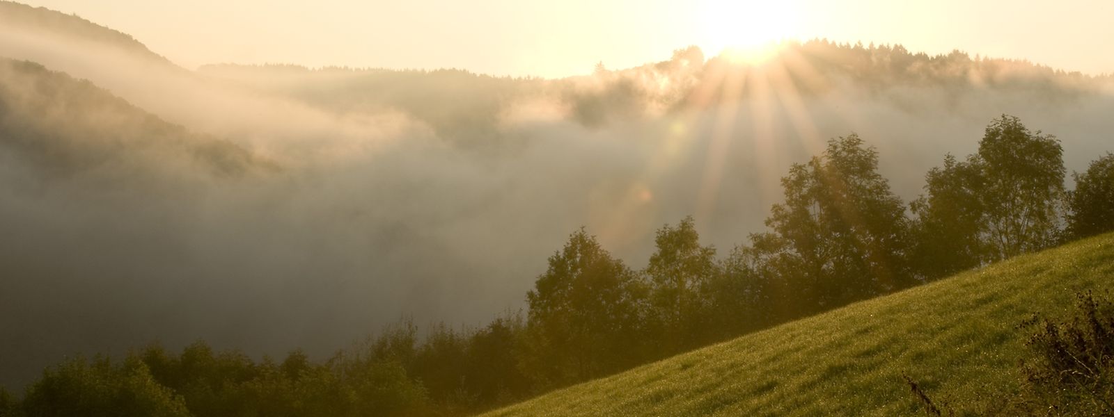 Die Ourregion ist Naturparadies und dynamischer Entwicklungsstandort zugleich.