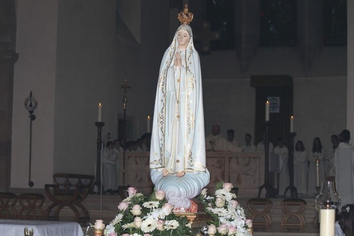 Fotogalerie Wort lu. und Contacto