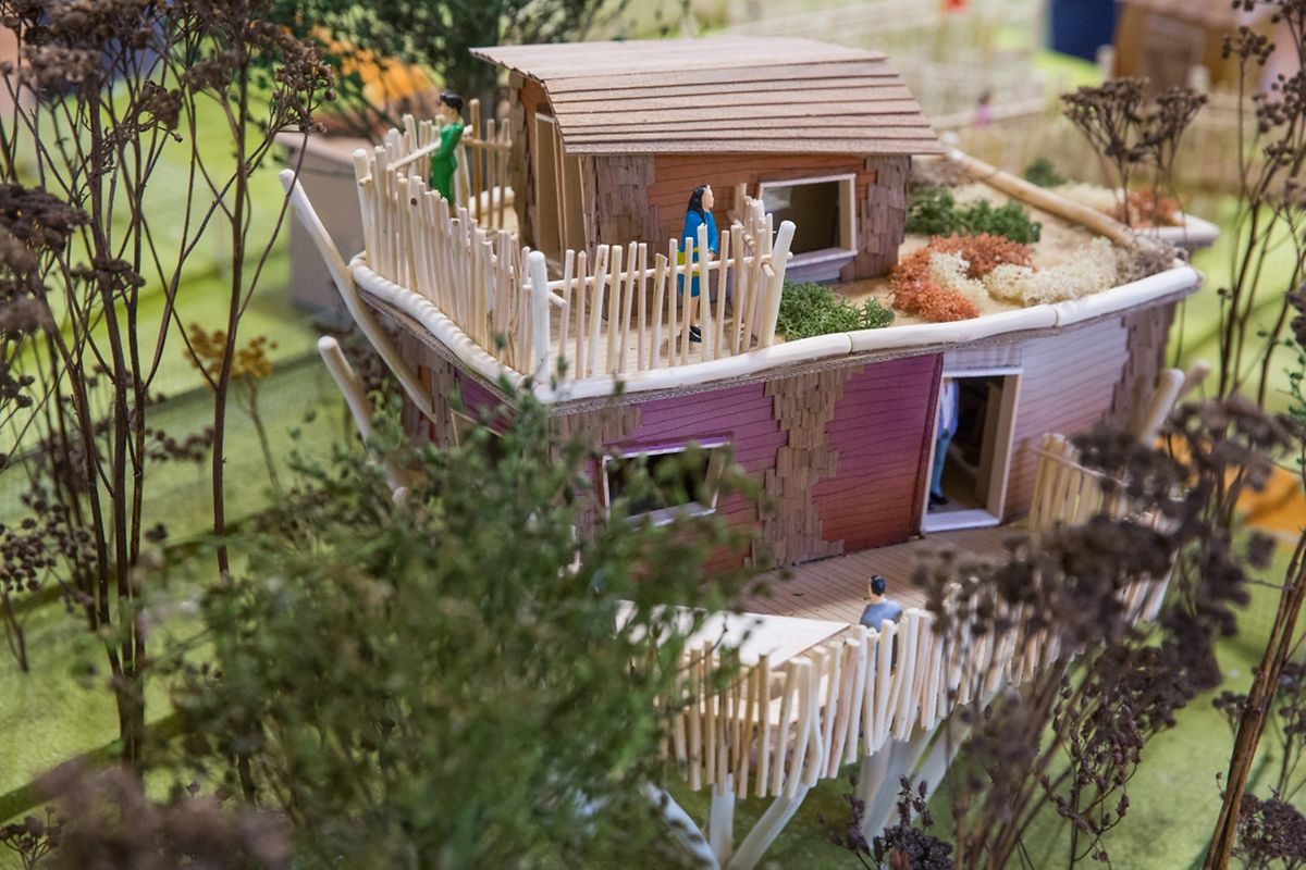 Dieses Baumhaus ist zweistöckig vorgesehen. 