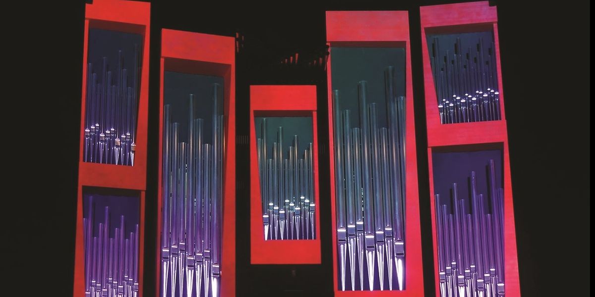 Farbverläufe, Schattenwirkungen, Kontraste: Die Philharmonieorgel erstrahlt in besonderem Licht.