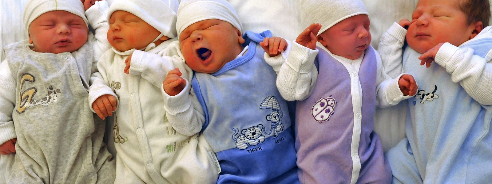 Luxemburgs Bevölkerung wächst. Die Gründe liegen weniger in der Geburtenrate als vielmehr bei der Nettozuwanderung.  