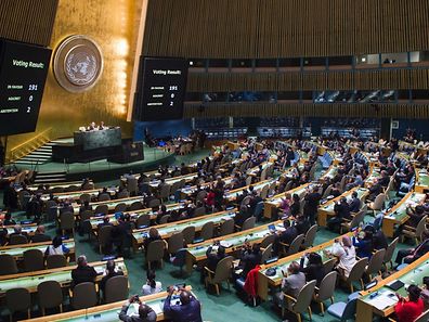 Apesar de tudo, a resolução foi aprovada com os votos favoráveis de 123 países, registando-se, ainda, 16 abstenções. 