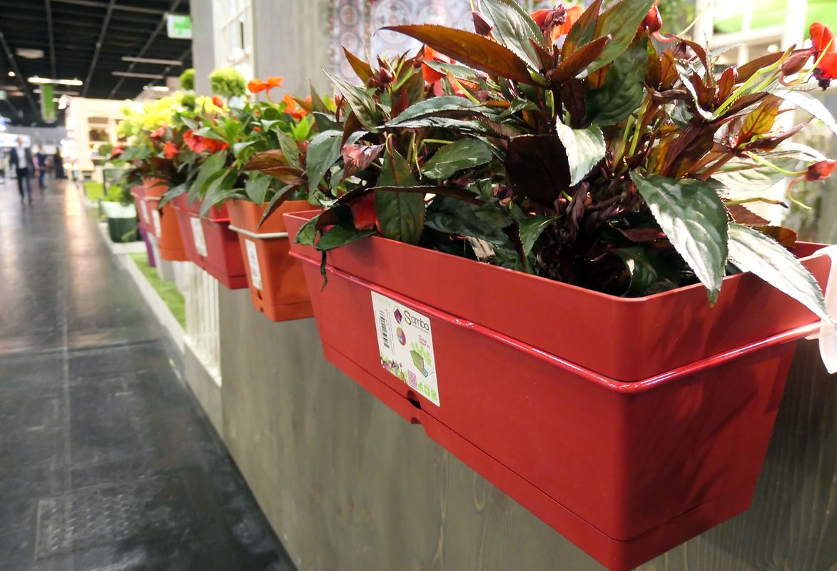 Die&nbsp;Trendfarbe Rot wird im&nbsp;Garten als Akzent zu sehen sein - etwa bei Balkonkästen. 