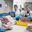Pork is processed at Wicks Manor Farm in Maldon, England, on Wednesday. Britain has warned that taxpayers could spend tens of millions of pounds to restart captured carbon dioxide production needed for the food industry that was paused due to surging gas prices