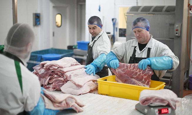 Pork is processed at Wicks Manor Farm in Maldon, England, on Wednesday. Britain has warned that taxpayers could spend tens of millions of pounds to restart captured carbon dioxide production needed for the food industry that was paused due to surging gas prices