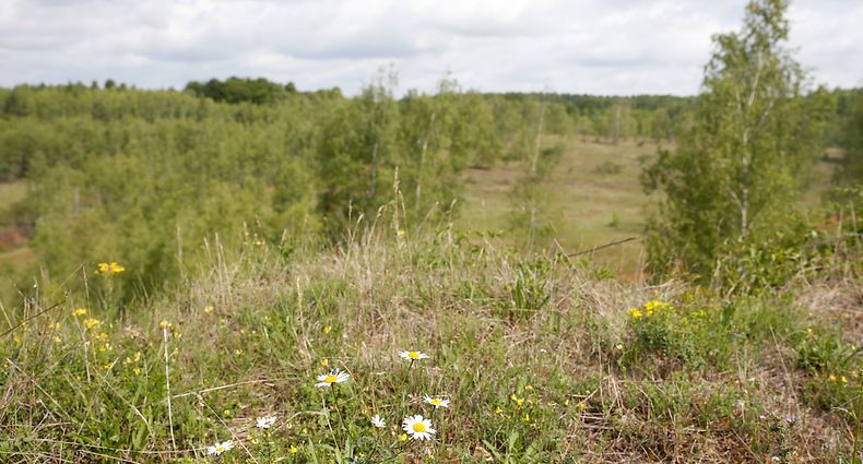 Wanderen um Giele Botter,  Niedercorn, le 11 Juillet 2017. Photo: Chris Karaba