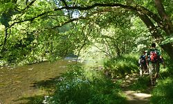 Quatre parcs naturels des provinces belges de Liège et de Luxembourg viennent de s’allier à l’Office du Tourisme des Ardennes Luxembourgeoises (ORTAL).