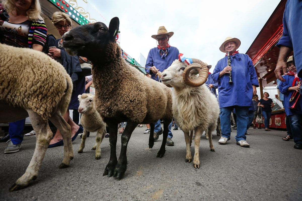 Die Schuberfouer auf dem Glacisfeld ist eröffnet. 20 Tage Spiel, Spaß und Spannung beginnen damit. 
