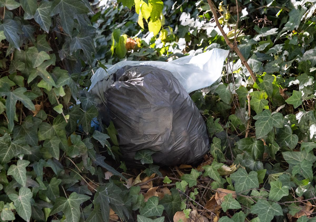 Les déchets jetés illégalement dans la nature coûtent à leur auteur une amende de 326,50 euros, s'il peut être retrouvé toutefois.