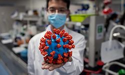 TOPSHOT - In this picture taken on April 29, 2020, an engineer shows a plastic model of the COVID-19 coronavirus at the Quality Control Laboratory at the Sinovac Biotech facilities in Beijing. - Sinovac Biotech, which is conducting one of the four clinical trials that have been authorised in China, has claimed great progress in its research and promising results among monkeys. (Photo by NICOLAS ASFOURI / AFP) / TO GO WITH Health-virus-China-vaccine,FOCUS by Patrick Baert