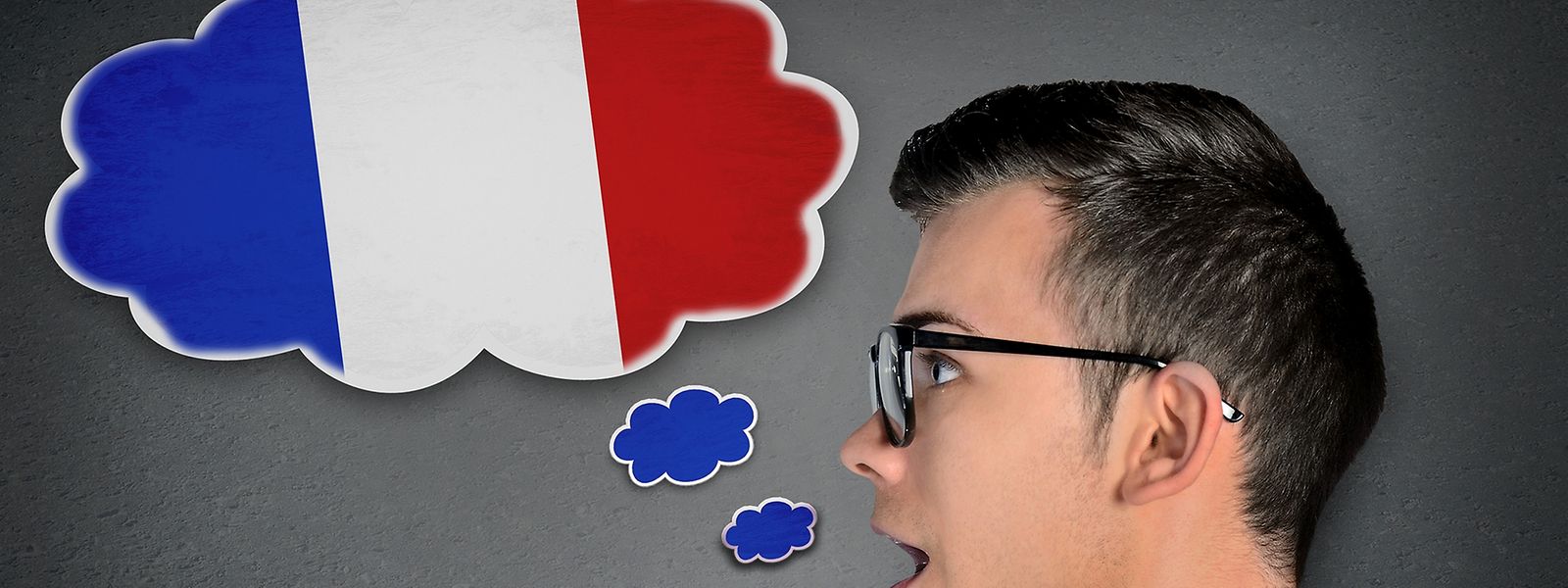  55.8% des entreprises interrogées utilisent le français comme langue principale