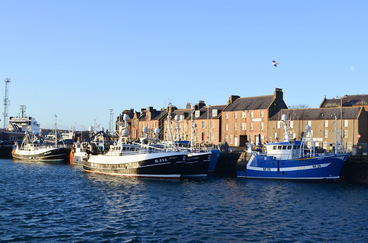 L'UE et le Royaume-Uni devront trouver un accord sur la pêche avant le 1er juillet.  