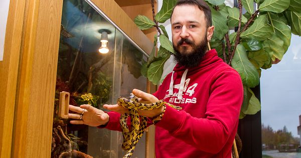 In Mamer sind Schlangen Teil des Schulunterrichts - Luxemburger Wort