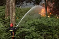 Um bombeiro trabalha para extinguir um incêndio florestal no fundo da Dune du Pilat, perto de La Teste-de-Buch, sudoeste da França, em 13 de julho de 2022. - Um incêndio em andamento desde a tarde de 12 de julho de 2022 queimou 1.500 hectares de pinheiros floresta perto de Landiras (Gironde), cerca de 40 quilômetros ao sul de Bordeaux, levando à evacuação de 150 pessoas, disse a prefeitura.  (Foto de Thibaud MORITZ/AFP)