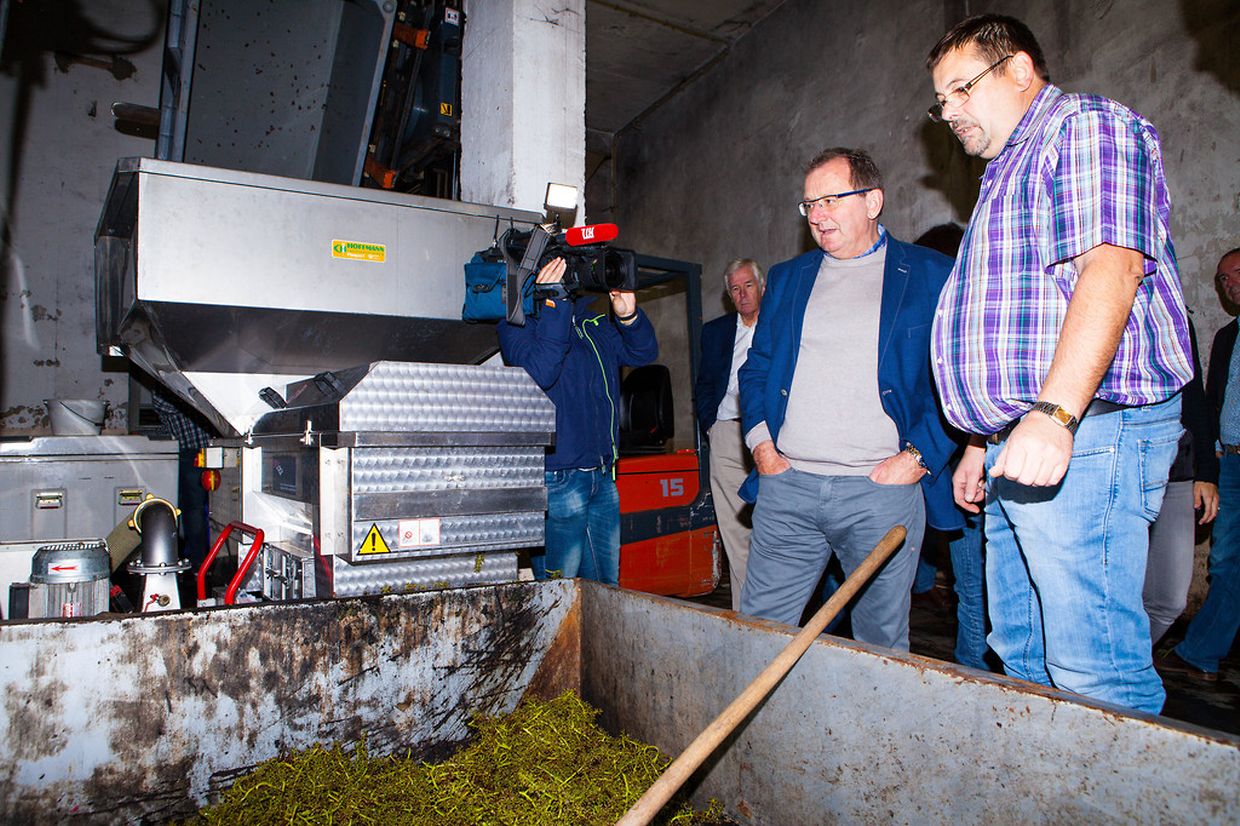 Die Traubenernte an der Mosel hat dieses Jahr acht Tage früher als in den vergangenen Jahren angefangen. Sie wird noch voruassichtlich drei Wochen dauern.