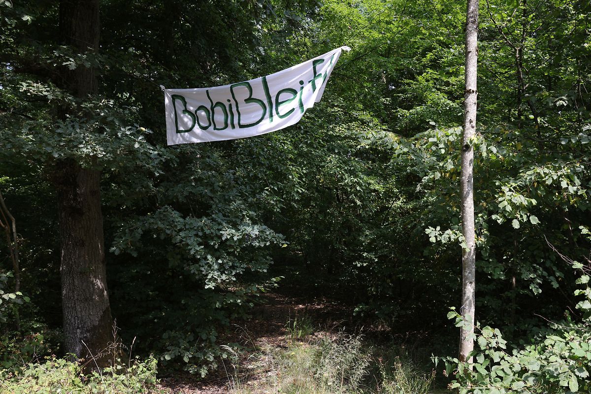 Faixa mostra o nome do grupo de ativistas, "Bobi bleift"