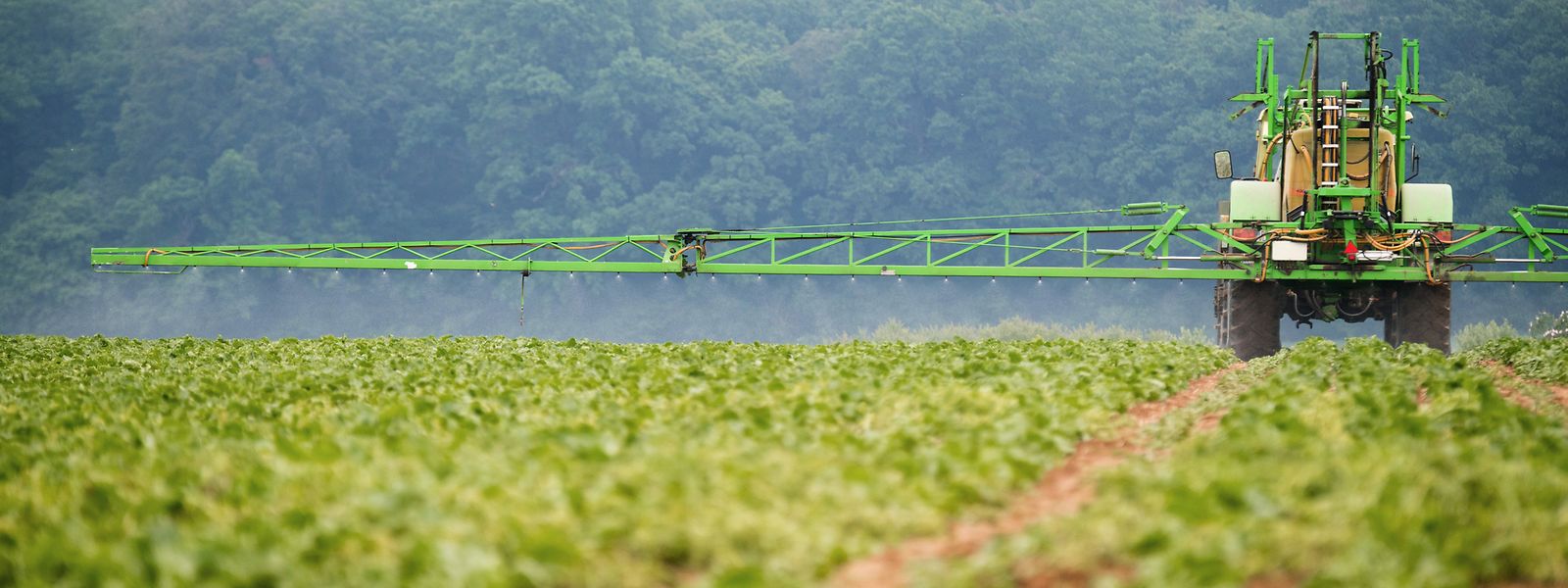 Les pesticides contribuent à la dégradation de la biodiversité, selon les initiateurs de la pétition européenne.