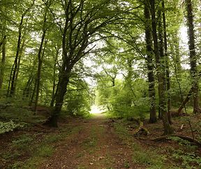 Sportlech ënnerwee -  Natur entdecken