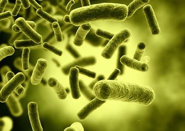 Contacto Gesundheitsministerium Warnt Luxemburger Nehmen Zu