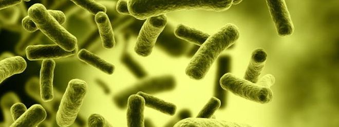 Antibiotika werden in vielen Fällen bei Erkältungen verschrieben - gegen Viren sind sie machtlos.