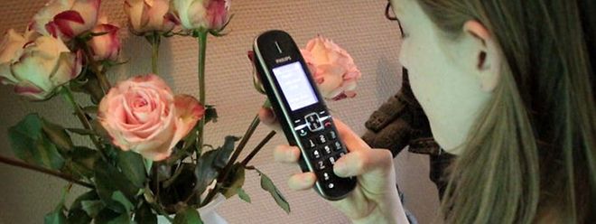 Anrufe im Bereich Mobbing und Cyberbullying haben in letzter Zeit stark zugenommen. 
