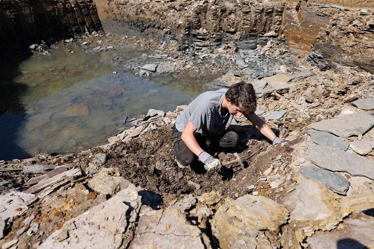 Paleontologists conduct their excavations at a depth of about three metres.