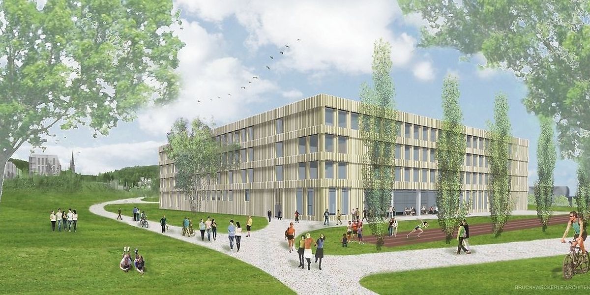 L'école internationale sera construite sur 4 étages totalisant 17.500 m2.